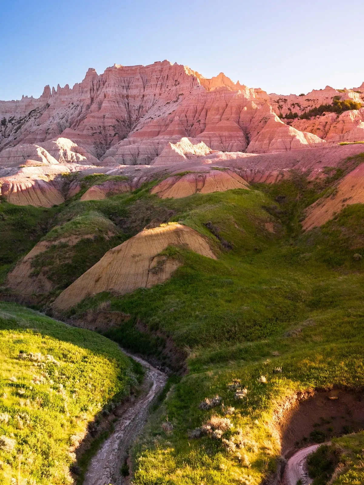 Badlands roses à l’heure dorée